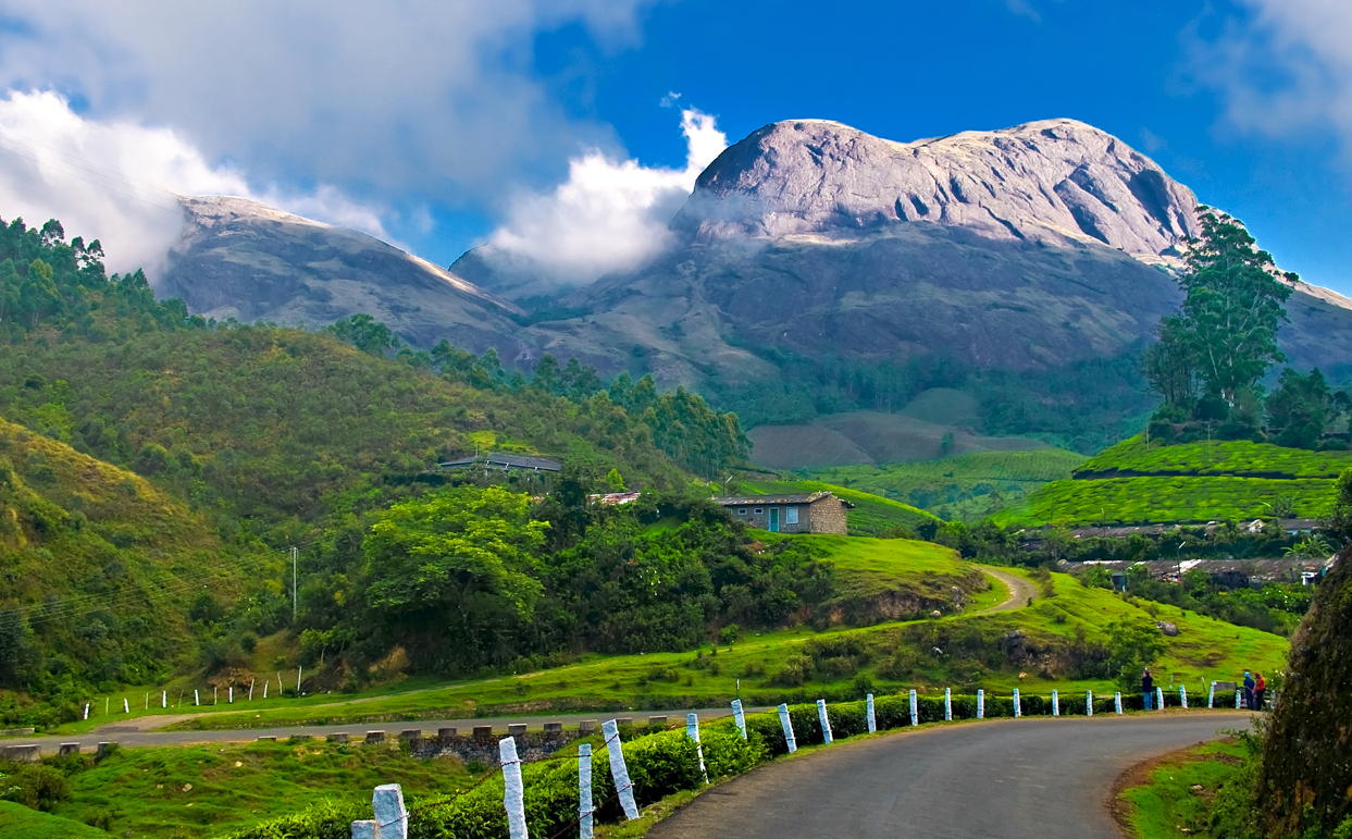 Munnar_Places_To_Visit_In_India_Monsoon