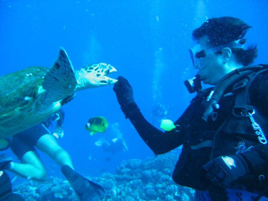 scuba diving places in India
