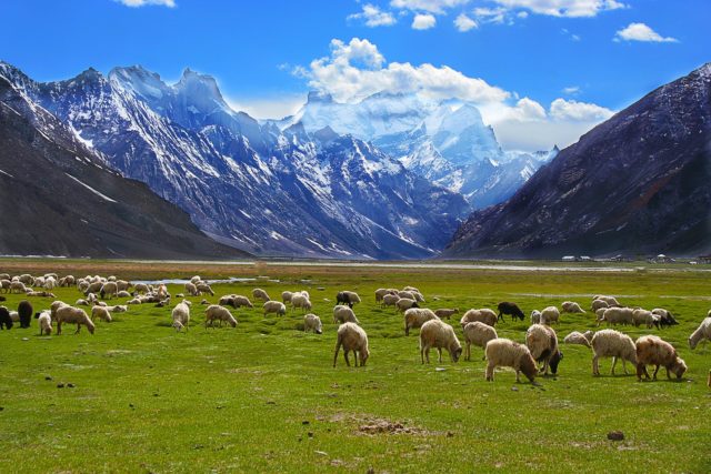 Leh-Ladakh-Road-Trip-Zanskar-min