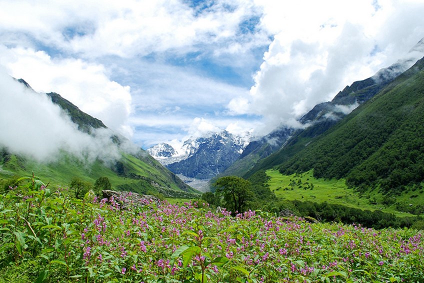 valley of flowers - famous destinations in India and foreign look-alikes