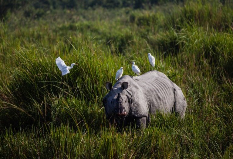 STUNNING PLACES YOU NEED TO VISIT AROUND GUWAHATI IN THE EARLY MORNING HOURS