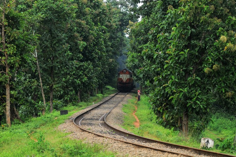 leisure travel in kerala