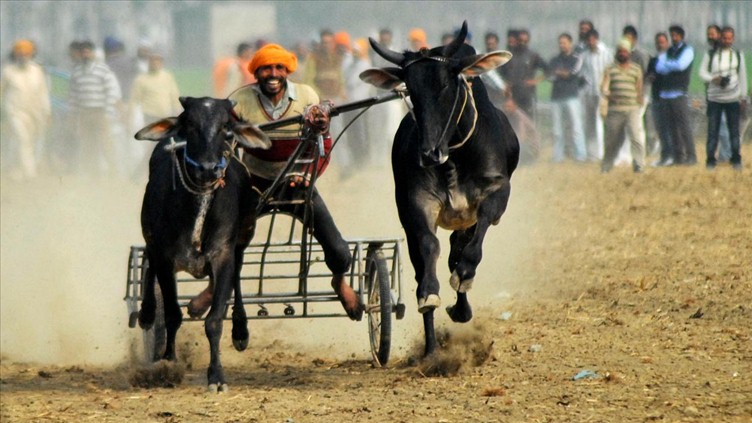 leisure travel in kerala