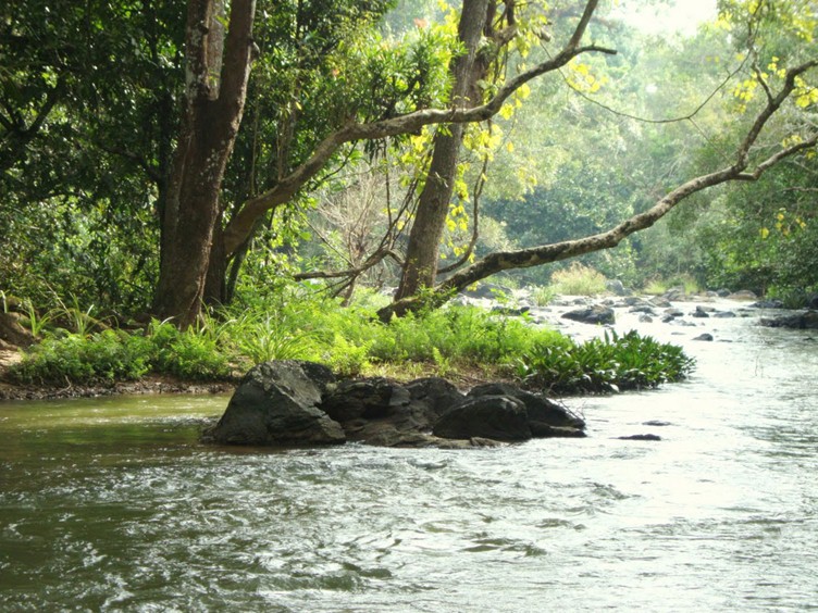 leisure travel in kerala