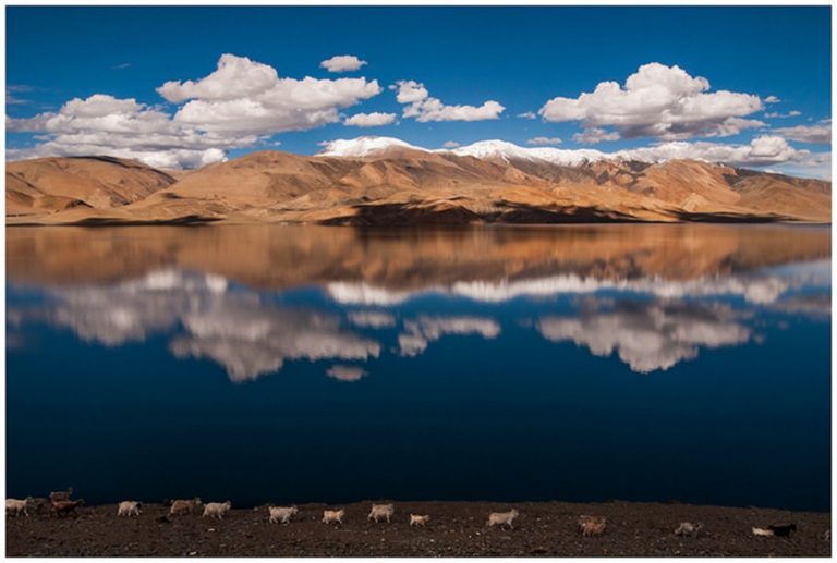 30 Amazing Things To Do In Ladakh- Experience the most amazing sites of Himalayan Beauty!