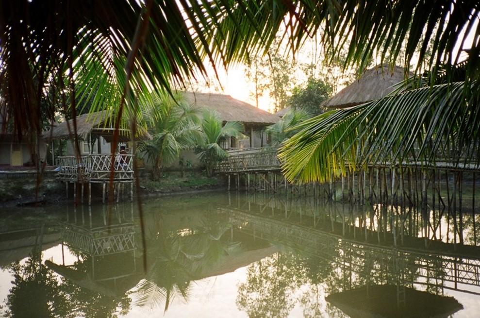 Camping destinations in India - sunderbans