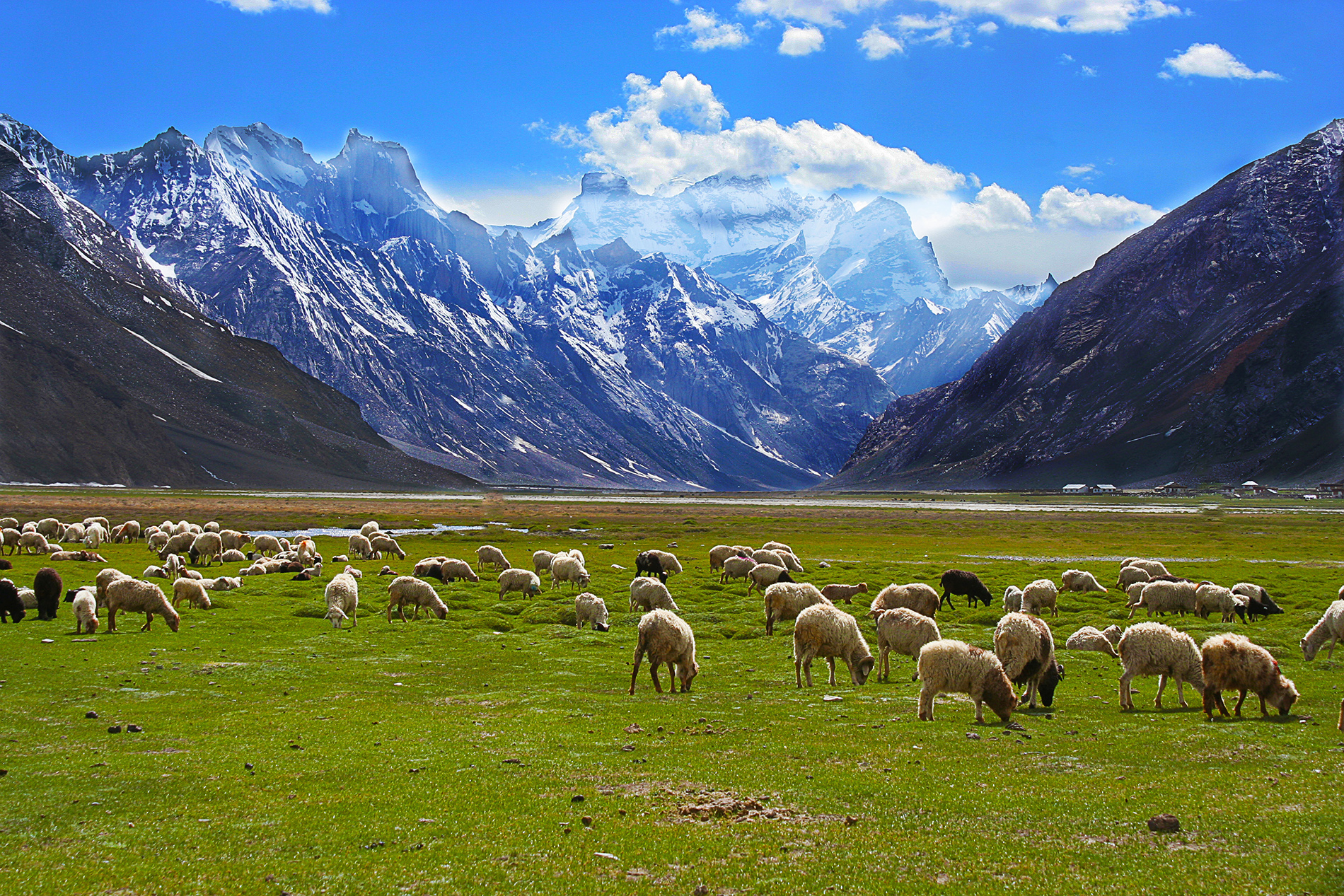 Leh Ladakh Road Trip Zanskar