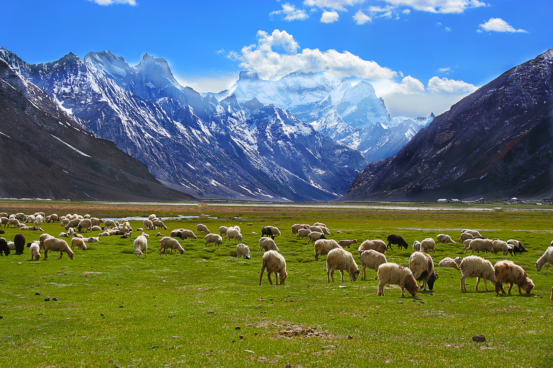 leh ladakh road trip