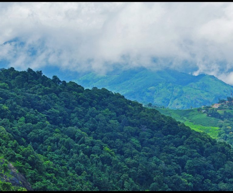 10 Things To Do In Munnar