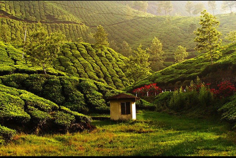 munnar - famous destinations in India and foreign look-alikes