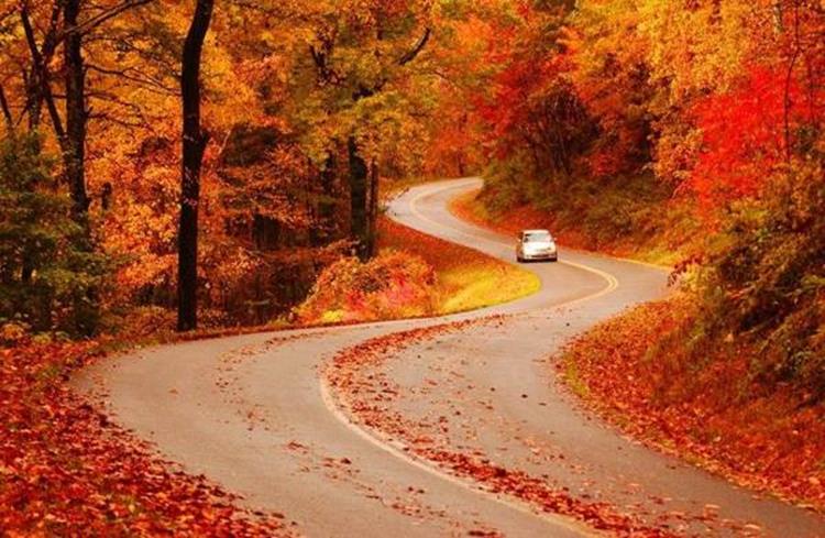 19 Spectacular Roads That Will Make You Forget The Destinations