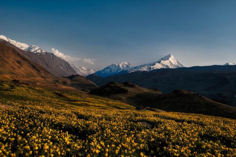 7 Reasons Why Lahaul – Spiti is Best Alternative for Leh – Ladakh