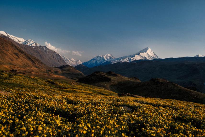 Lahaul Spiti alternative for Leh Ladakh