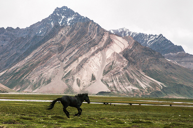 Photography Journey from Srinagar to Leh