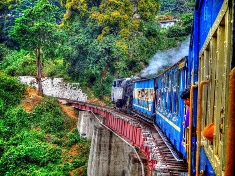 21 Amazing Things to do in Ooty Weekend Thrill