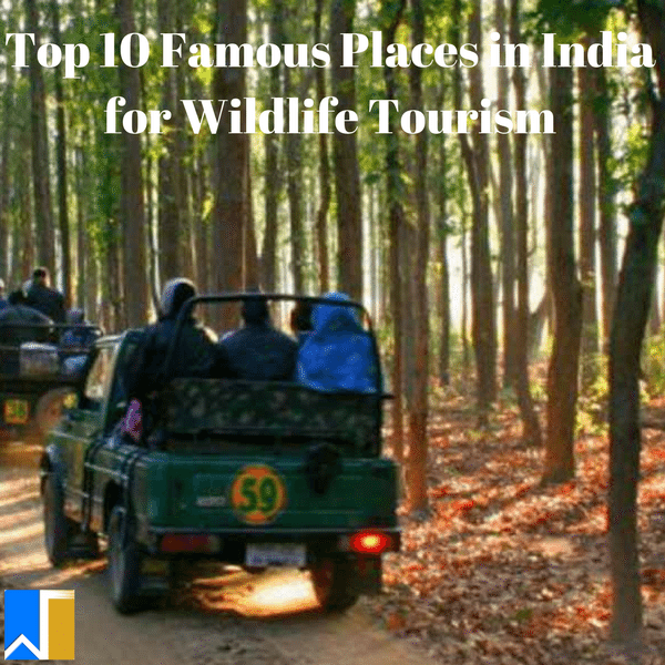 famous place in India for wildlife tourism