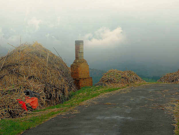 Historical Places in Kerala