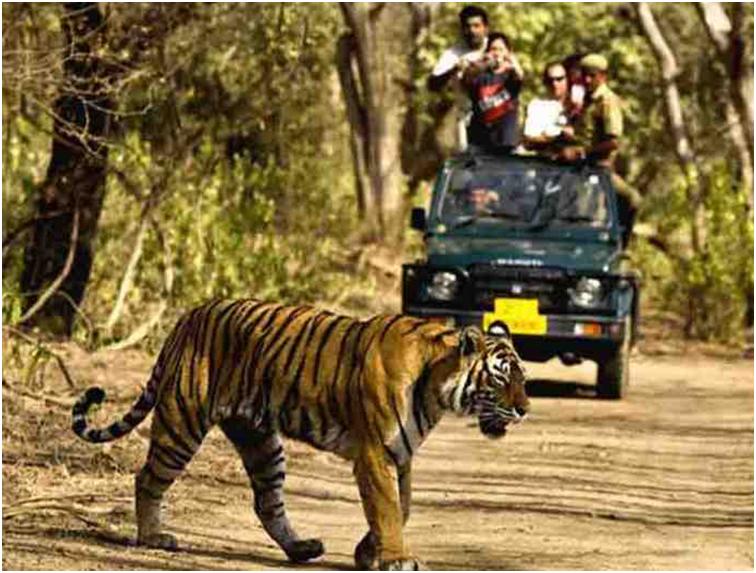 Jim Corbett National Park A Complete Travel Guide Weekend Thrill